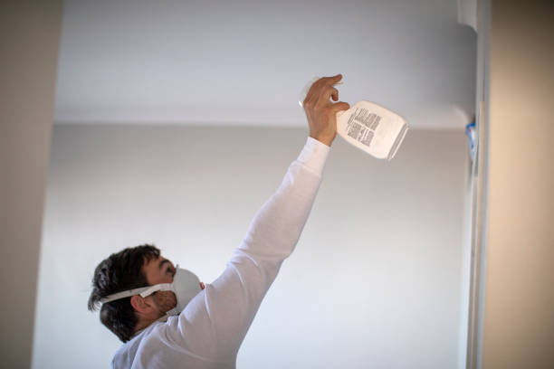 Best White Mold Remediation in Lufkin, TX