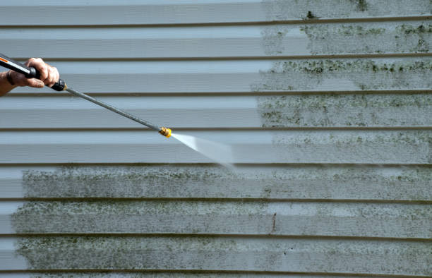 Best Mold Remediation for Specific Building Types in Lufkin, TX