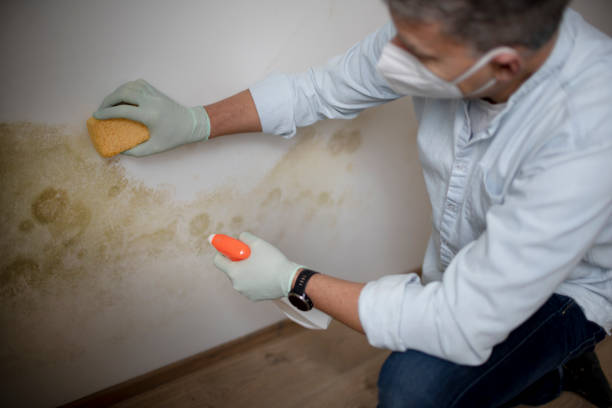Best Bathroom Mold Remediation in Lufkin, TX