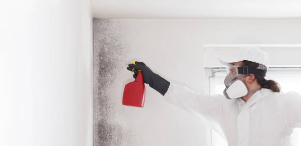 Best Mold Remediation for Specific Building Types in Lufkin, TX