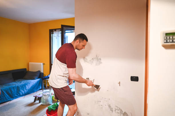 Best Preventive Mold Services in Lufkin, TX